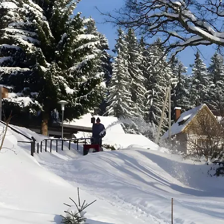 Holiday home Elfi Mit 85qm Eisenbach (Breisgau-Hochschwarzwald)