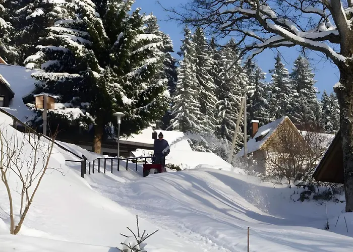 Сasa de vacaciones Elfi Mit 85qm Eisenbach (Breisgau-Hochschwarzwald)