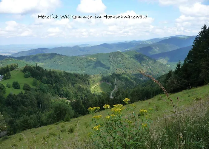 Сasa de vacaciones Elfi Mit 85qm Eisenbach (Breisgau-Hochschwarzwald)